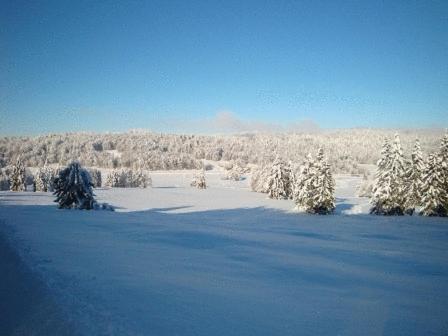Hotel Restaurant Le Chalet Cortaillod ภายนอก รูปภาพ