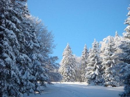 Hotel Restaurant Le Chalet Cortaillod ภายนอก รูปภาพ